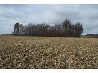 Property photo 9 - LAND AUCTION - 276.5+/- ACRES OFFERED IN 5 TRACTS IN EAST ALLEN COUNTY